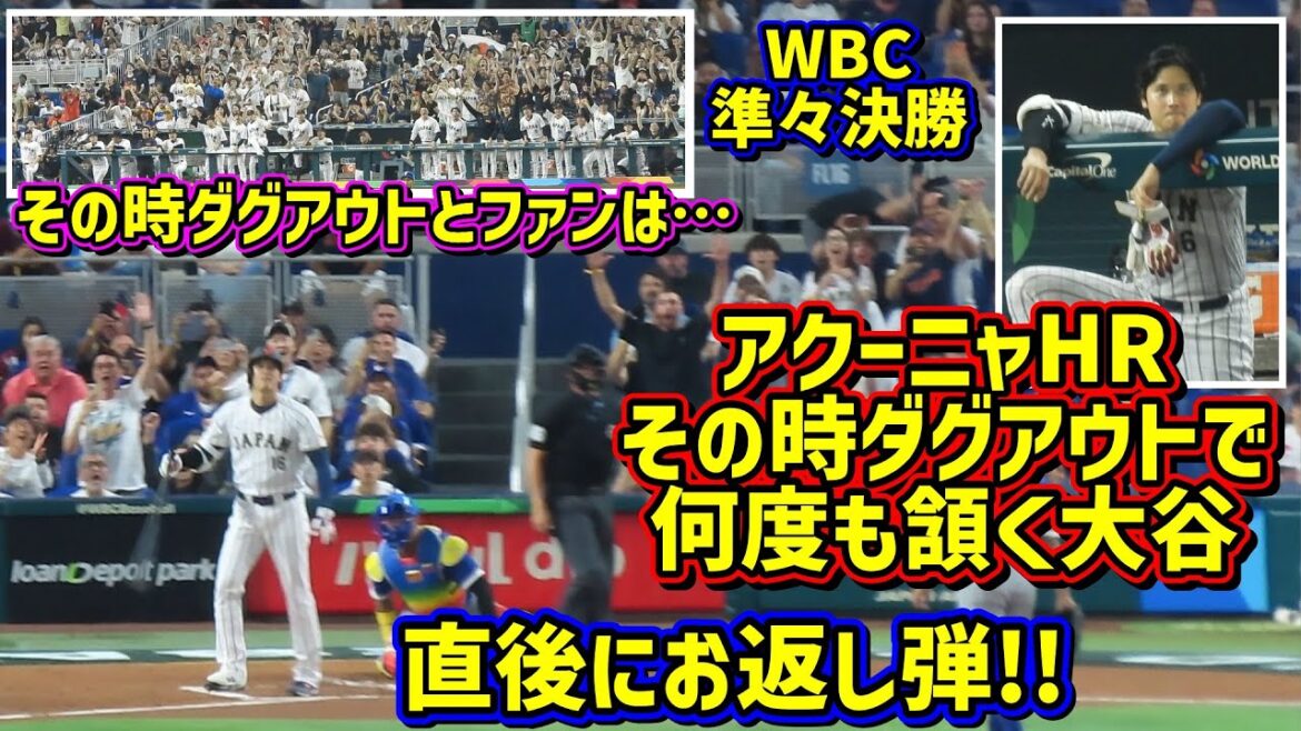 Le meilleur!! ️Le moment où l'esprit combatif d'Otani s'est enflammé 🔥 Le premier frappeur est revenu HR 😠 À ce moment-là, l'abri était... Merci Samurai Japan[Vidéo locale]Quarts de finale WBC contre Venezuela ShoheiOhtani