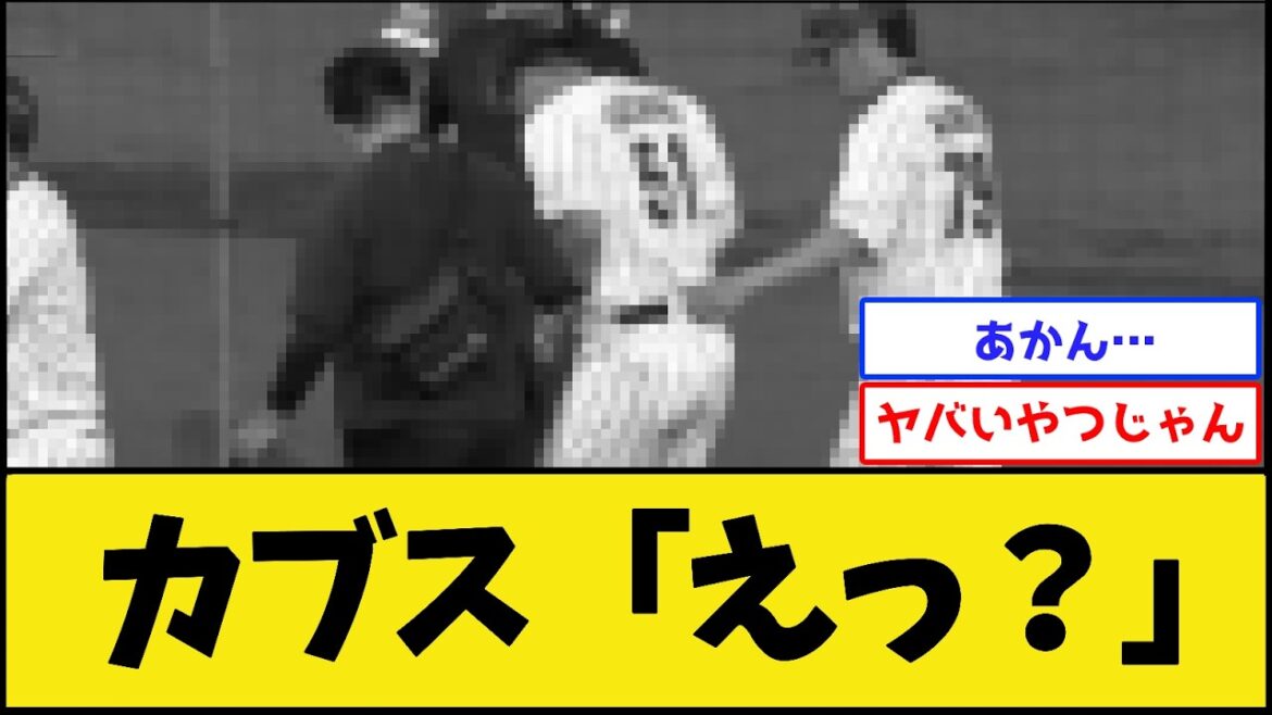 [Cubs Buchigire]Décès de Seiya Suzuki[Samurai Japan][Professional Baseball Nan J 2ch Professional Baseball Reaction Collection]