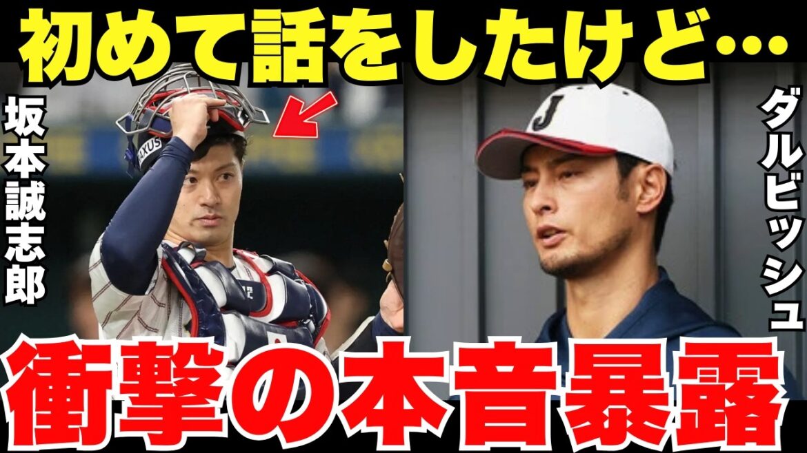 "Le receveur régulier de Samurai Japan est..." Darvish a révélé ses véritables sentiments lorsqu'il a vu Seishiro Sakamoto de près pour la première fois.