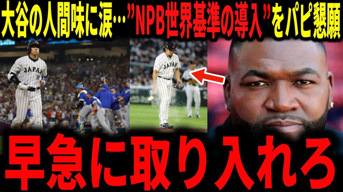 [Shohei Otani]Même la légende a versé des larmes face à l'action palpitante dont Otani a fait preuve lors de la défaite des Samurai Japan... Il mentionnera également l'horloge du terrain, qui a été la cause de la défaite.
