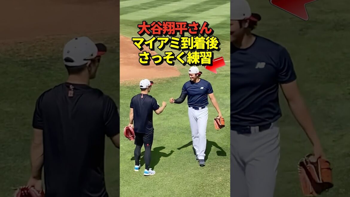 SAMURAI JAPAN arrive à Miami ! C'est devenu un sujet brûlant que Shohei Otani pratique plus rapidement que quiconque !