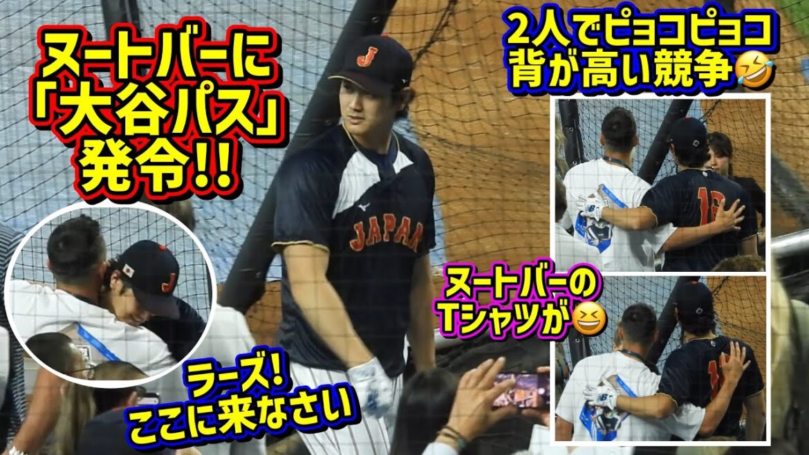 Réunion!! ️ Pass Otani délivré pour Nooto Bar 😆 C'était formidable de voir deux personnes si proches dans un lieu de souvenirs[Vidéo locale]Quarts de finale WBC ShoheiOhtani