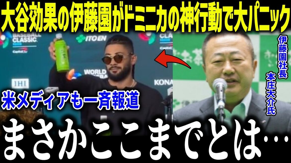 [Shohei Otani]Ito En panique à cause de l'apparition de l'équipe nationale dominicaine dans une publicité ! "La réaction est anormale..." La présence du sponsor Otani dans WBC est trop anormale[Réaction à l'étranger/MLB/Major/Baseball][総集編]