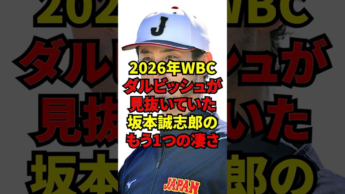 "Le receveur régulier de Samurai Japan est..." Darvish a révélé ses véritables sentiments lorsqu'il a vu Seishiro Sakamoto de près pour la première fois.