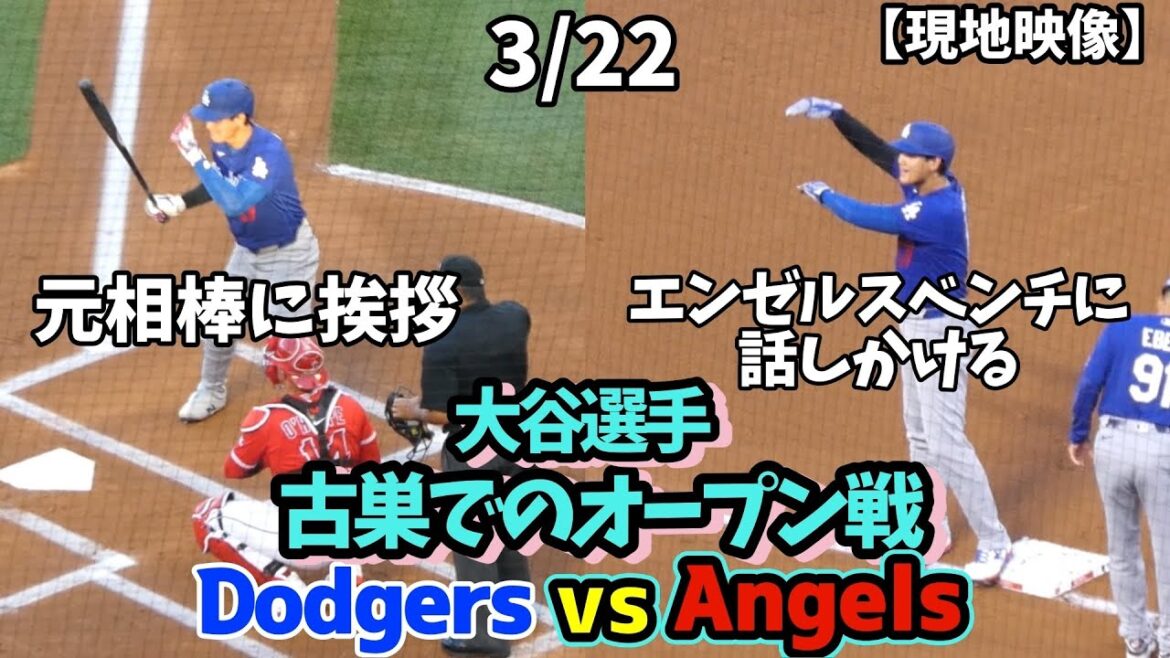 Otani se fait couper les cheveux, discute avec le banc lors du match ouvert contre les Angels et retrouve son ancien partenaire. Apprenez à Tucker comment utiliser l’iPad et faites de votre mieux pour éviter les fautes ! ! Otani se fait couper les cheveux, discute avec le banc lors du match ouvert contre les Angels et retrouve son ancien partenaire. Apprenez à Tucker comment utiliser l'iPad et faites de votre mieux pour éviter les fautes ! !