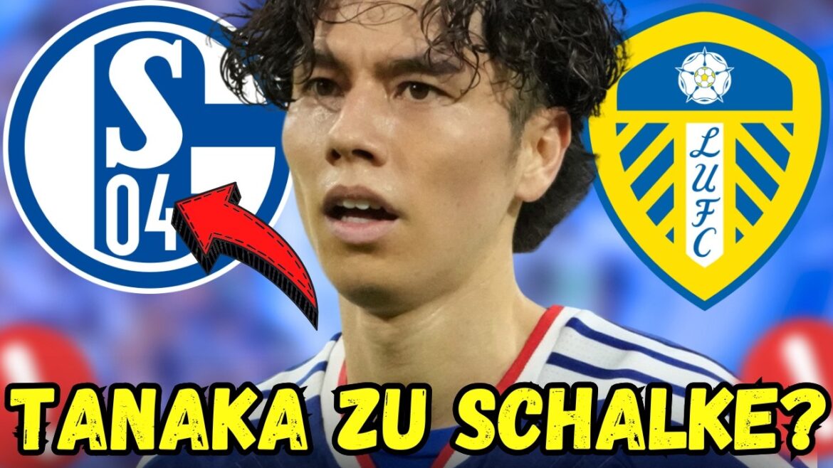 Ao Tanaka à Schalke ? Pourquoi cette rumeur de transfert prend soudain plus de sens que prévu