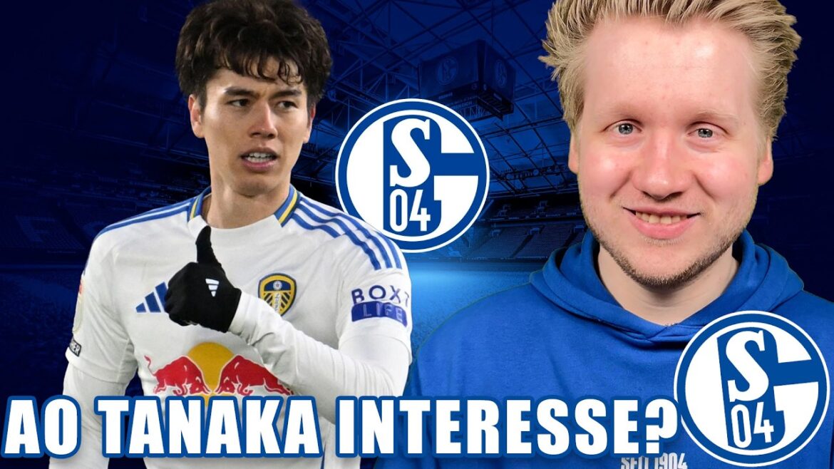 Ao Tanaka de Leeds United rejoindra-t-il S04 pour une promotion ? - Actualités Schalke