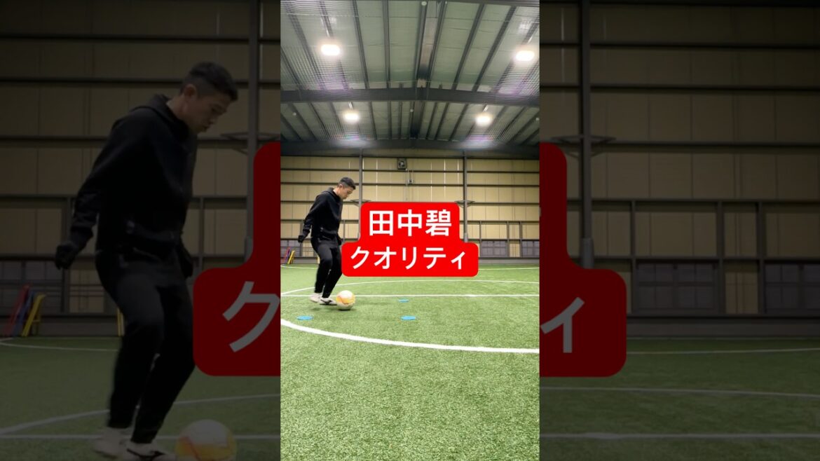 Arrêts et coups de pied de qualité d'Ao Tanaka