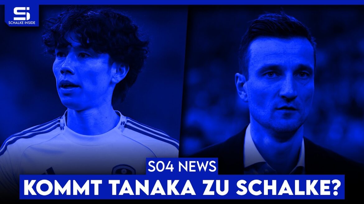 Schalke veut Tanaka ! Risque d’être bloqué ! Redémarrer le Geno ? La largeur de l’effectif est trop mauvaise ? | S04 NOUVELLES Schalke veut Tanaka ! Risque d'être bloqué ! Redémarrer le Geno ? La largeur de l'effectif est trop mauvaise ? | S04 NOUVELLES