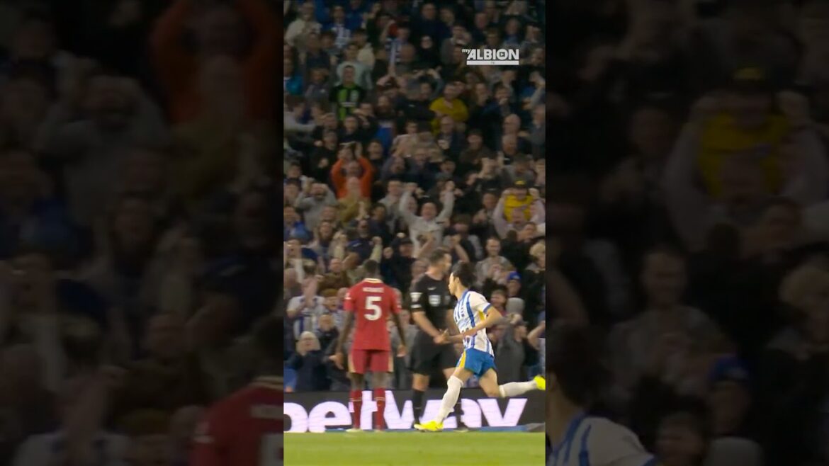 SPÉCIAL de Mitoma… 🥹🇯🇵 SPÉCIAL de Mitoma... 🥹🇯🇵