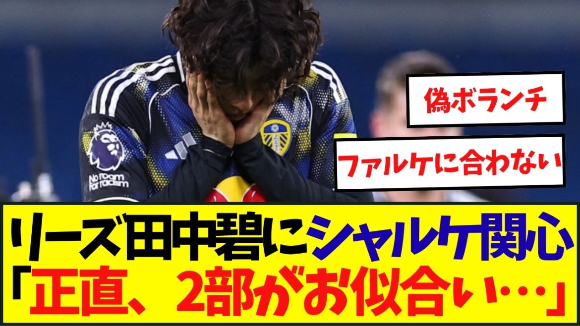 Perdu à la première ? Aoi Tanaka reçoit un appel passionné de son ancien club allemand ! Perdu à la première ? Aoi Tanaka reçoit un appel passionné de son ancien club allemand !