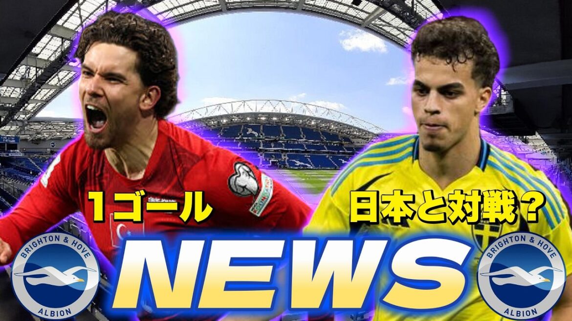 Résumé des NOUVELLES de Brighton !