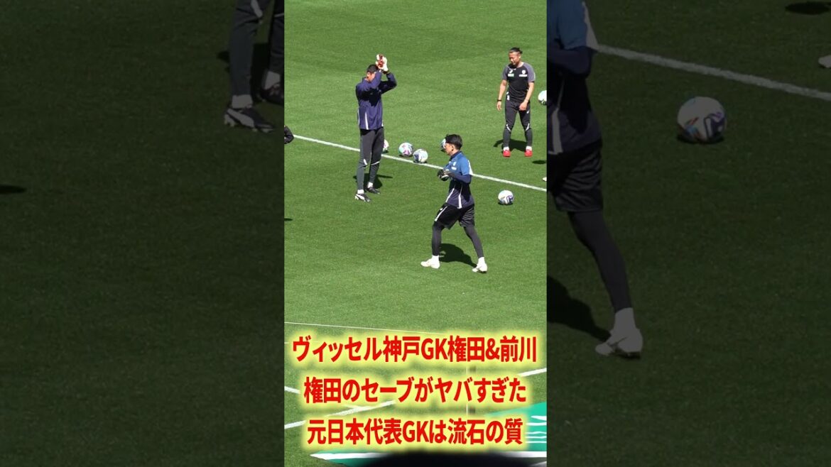 La sauvegarde de Gonda était dommage