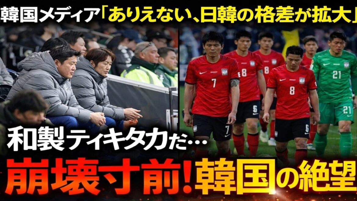 [Choquant]Le classement FIFA s'effondre ! Alors que les joueurs japonais dominent, il y a un tollé à l'étranger en raison de l'absence de Son Heung-min.