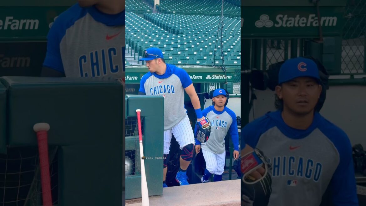 #Suzuki Seiya est apparu avec une pointe d'humour (⁈). Le lanceur Shota Imanaga également