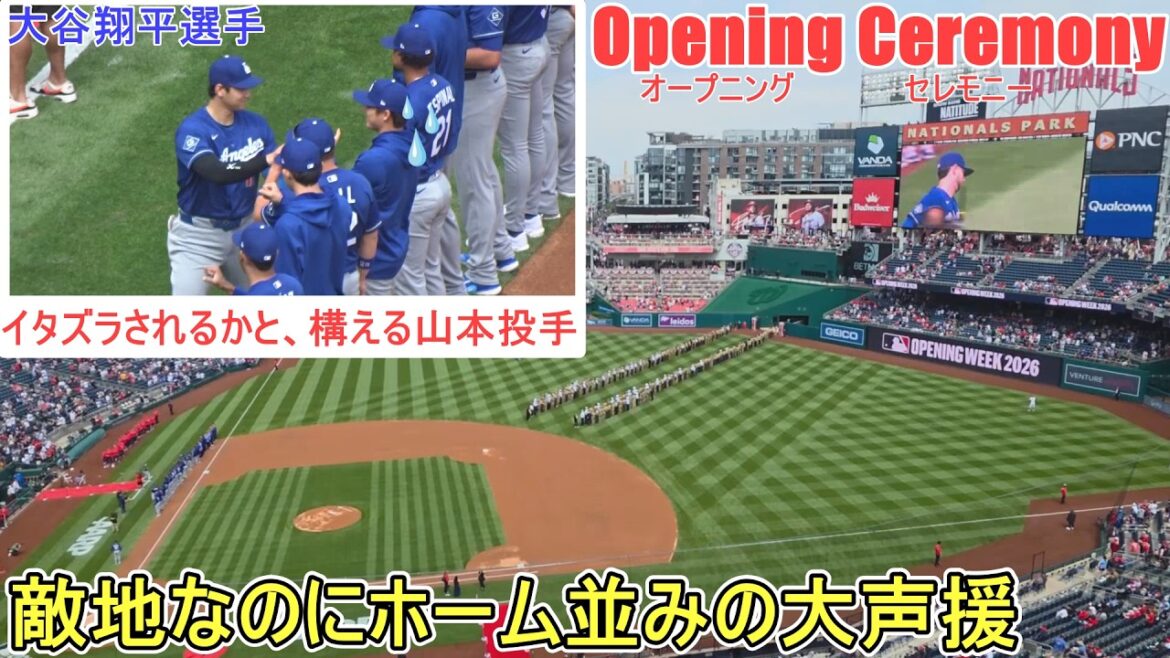 ♦Cérémonie d'ouverture♦ Même si c'était en territoire ennemi, les acclamations étaient aussi fortes qu'à la maison ![Shohei Ohtani]contre les Nationaux ~ Premier match de la série ~ Shohei Ohtani contre les Nationaux 2026