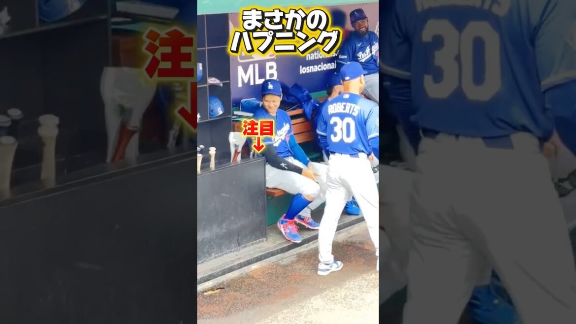 Incident inattendu des Dodgers Shohei Otani !￼