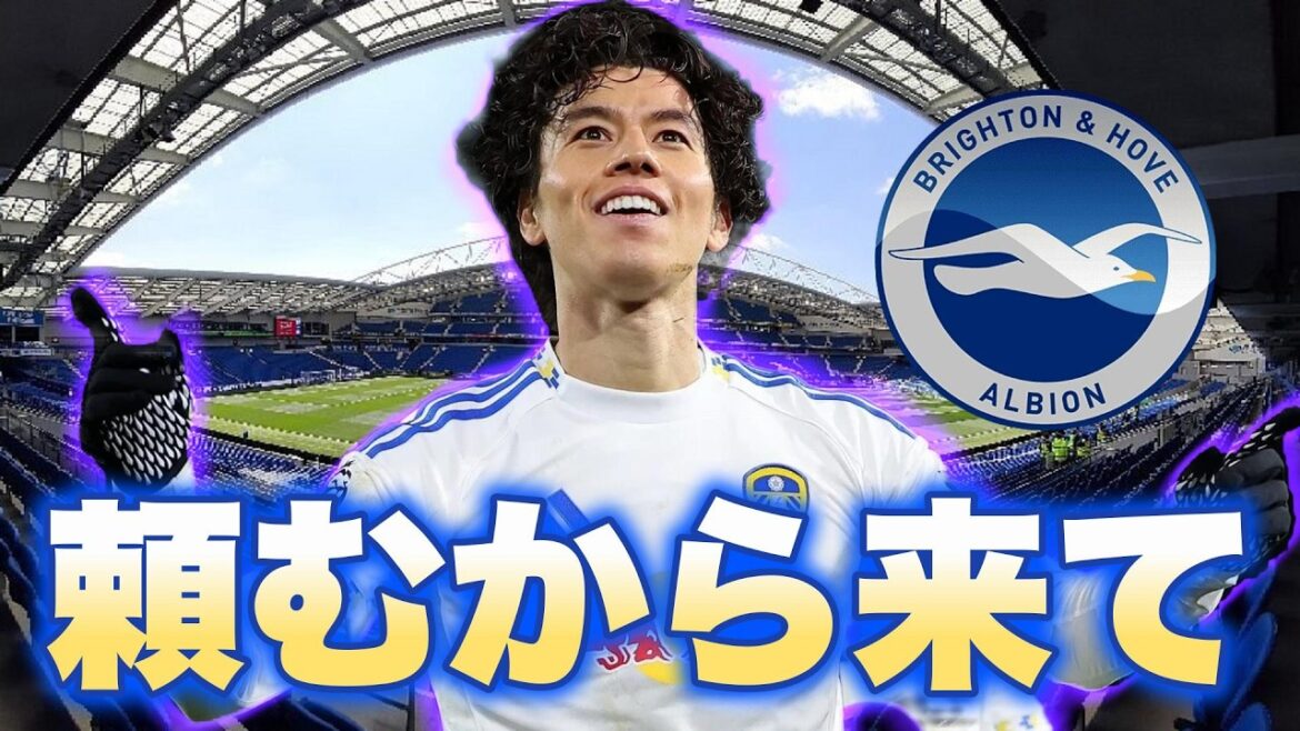 Aoi Tanaka, pourrais-tu venir à Brighton s’il te plaît ? Aoi Tanaka, pourrais-tu venir à Brighton s'il te plaît ?