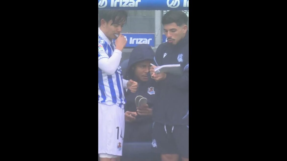 Kubo est de retour ! 🇯🇵💙🔙 Kubo est de retour ! 🇯🇵💙🔙