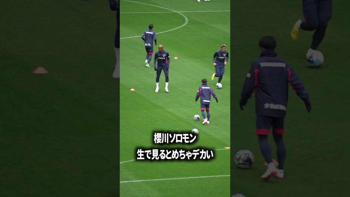 Solomon Sakuragawa est si grand