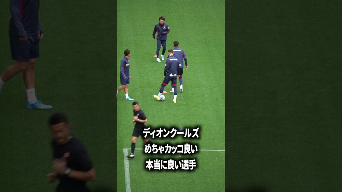 Dion Cools est bon Dion Cools est bon