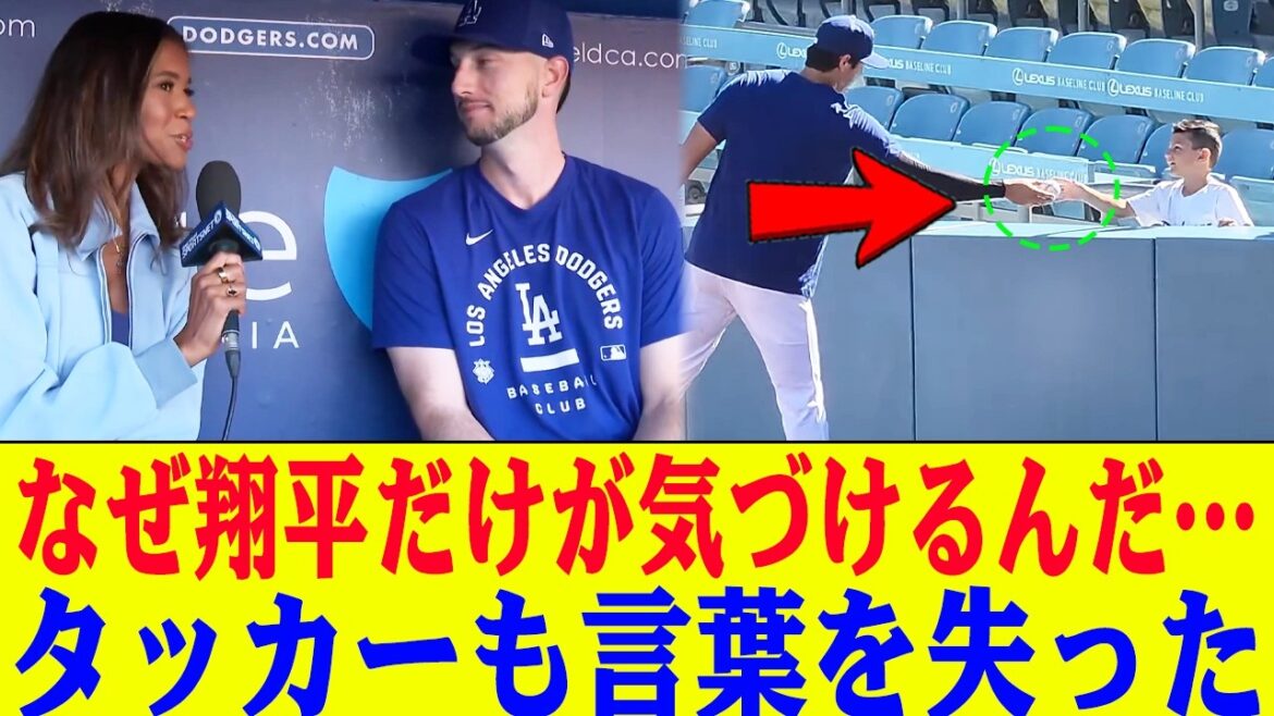 « Il a encore fait la même chose. Je n’arrive pas à y croire. » La raison pour laquelle Shohei Otani a arrêté son échauffement et s’est dirigé vers le garçon qui se tenait tranquillement… Les deux secondes qu’il a vues à travers la clôture ont laissé Tucker sans voix. « Il a encore fait la même chose. Je n'arrive pas à y croire.'' La raison pour laquelle Shohei Otani a arrêté son échauffement et s'est dirigé vers le garçon qui se tenait tranquillement... Les deux secondes qu'il a vues à travers la clôture ont laissé Tucker sans voix.