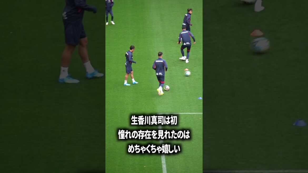 J'admire vraiment Shinji Kagawa