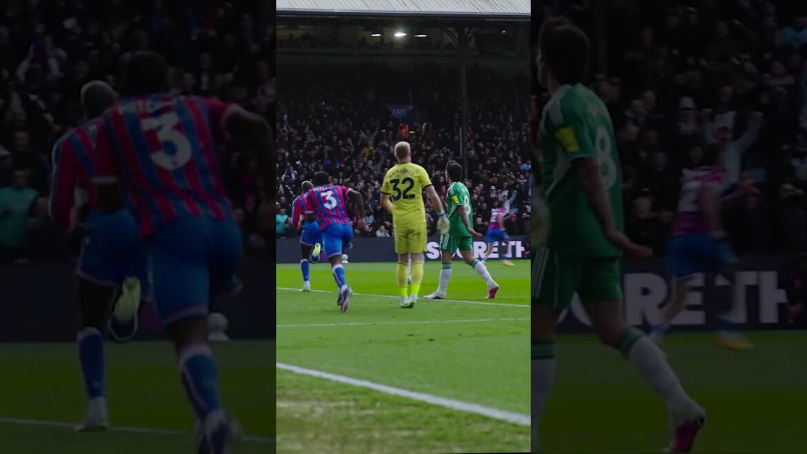 Ty Cross ➡️ JP Header ⚽️ #cristalpalace #football #premierleague Ty Cross ➡️ JP Header ⚽️ #cristalpalace #football #premierleague