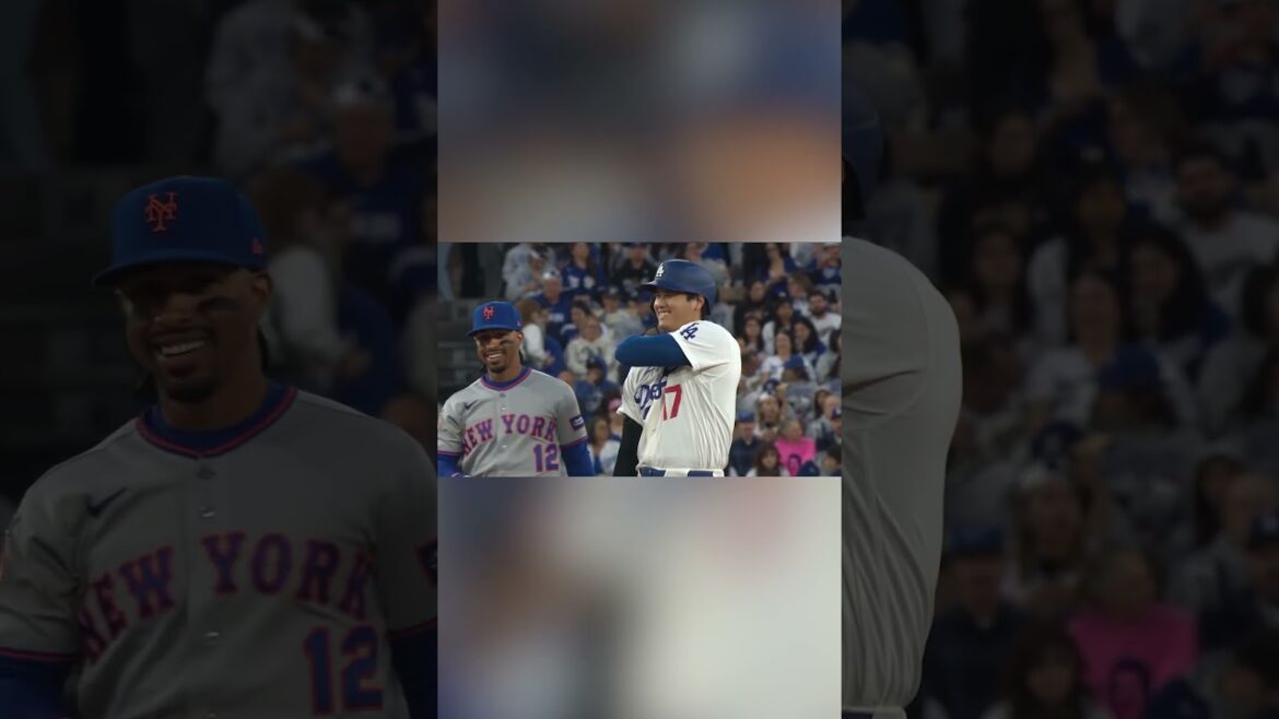 Francisco Lindor et Shohei Ohtani partagent un rire 😆