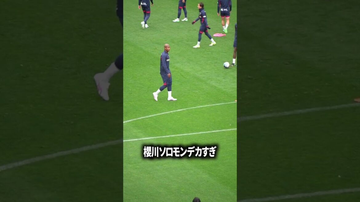 Comment Solomon Sakuragawa peut-il survivre ?