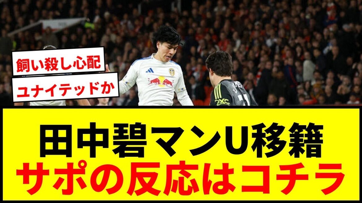[Choquant]Aoi Tanaka est transféré à Man U ! Les frais de transfert de 3,2 milliards de yens sont un "achat bon marché" MDR