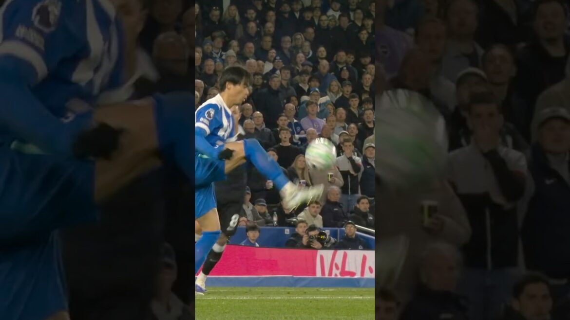 Mitoma se rapproche d’un autre Chelsea WORLDIE ! #kaorumitoma #brightonandhovealbion
