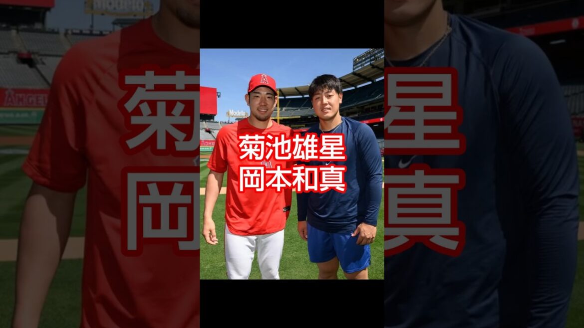 Yusei Kikuchi Kazuma Okamoto