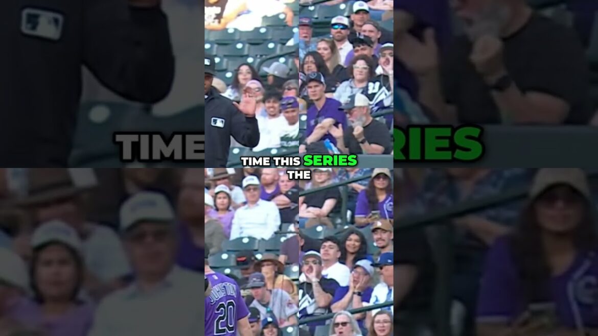 Shohei Ohtani contre Quintana Une rivalité de baseball ravivée ! #mlb #baseball #shortsvideo