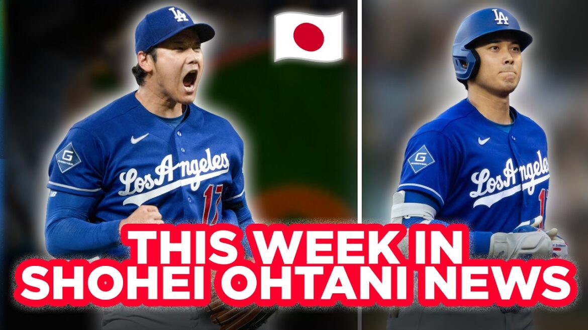 Shohei Ohtani News : CY YOUNG DOMINANCE continue ! 0,38 ERA + 53-Games sur la séquence de base se termine