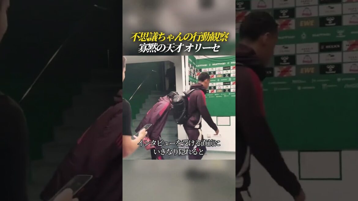 Observation du comportement de Mystery-chan Le génie silencieux Olise