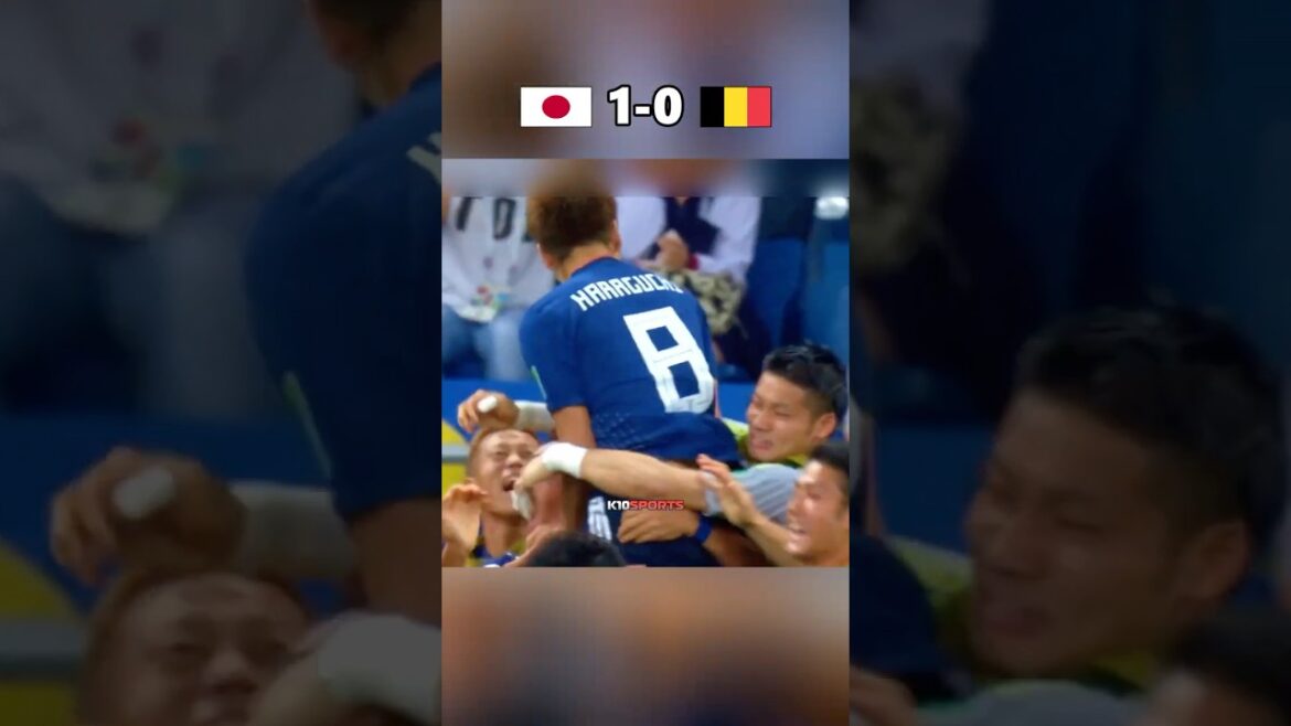 Japon contre Belgique | Coupe du monde 2018