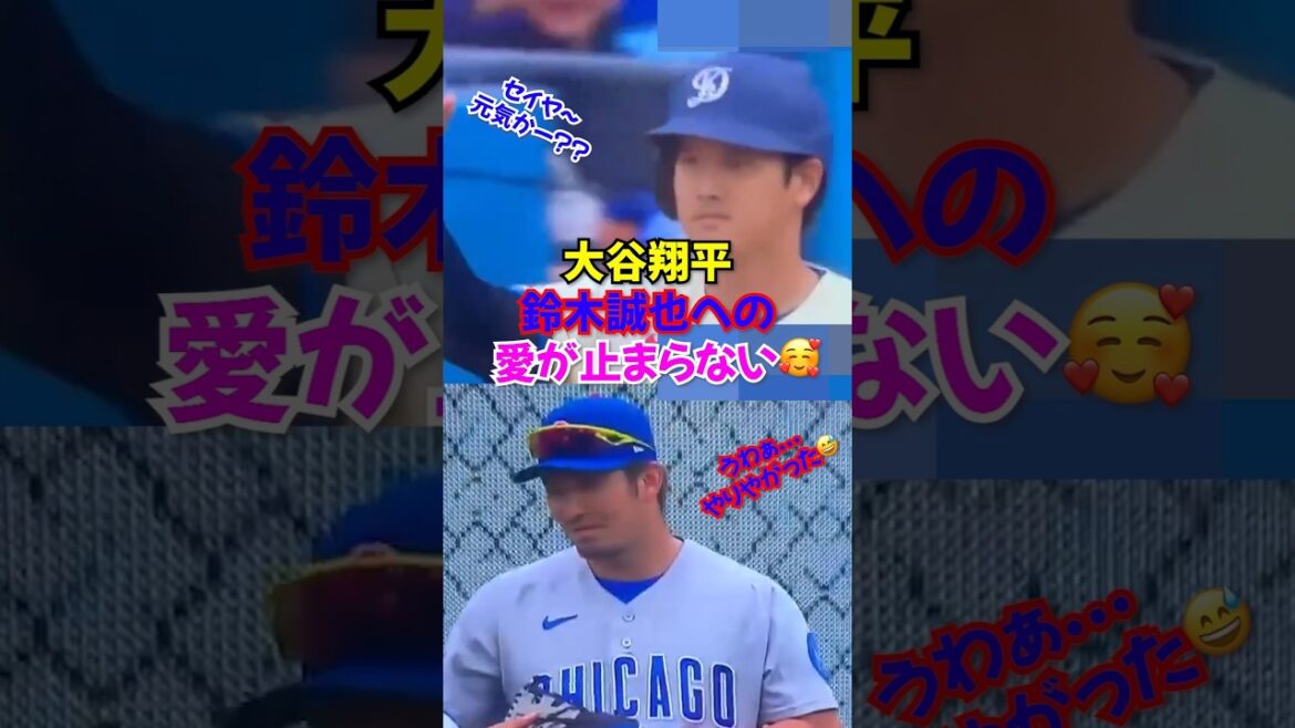 Shohei Otani et Seiya Suzuki sont trop respectueux..🤣C'est trop dangereux de s'en prendre à eux même s'ils sont ennemis.