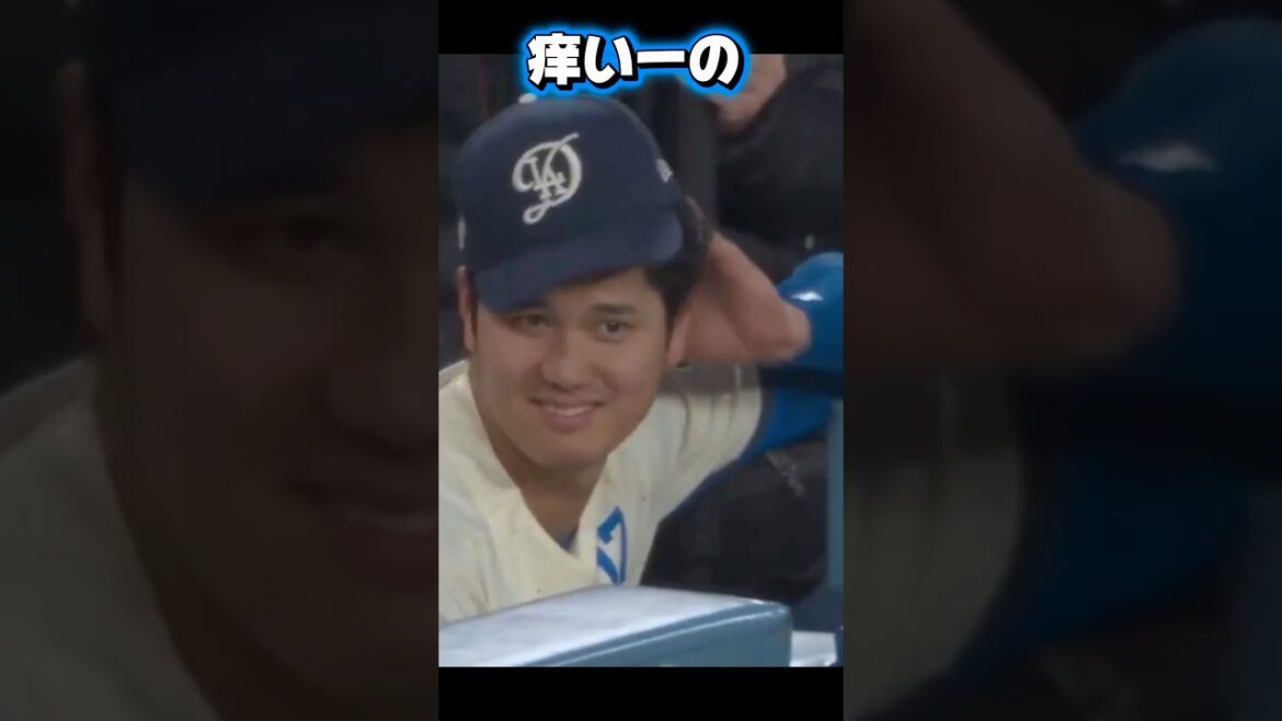 Aki Sasaki contre Seiya Suzuki ! LOHAS soutient Aki ! Shohei Otani a la tête qui démange ! Dodgers vs petits