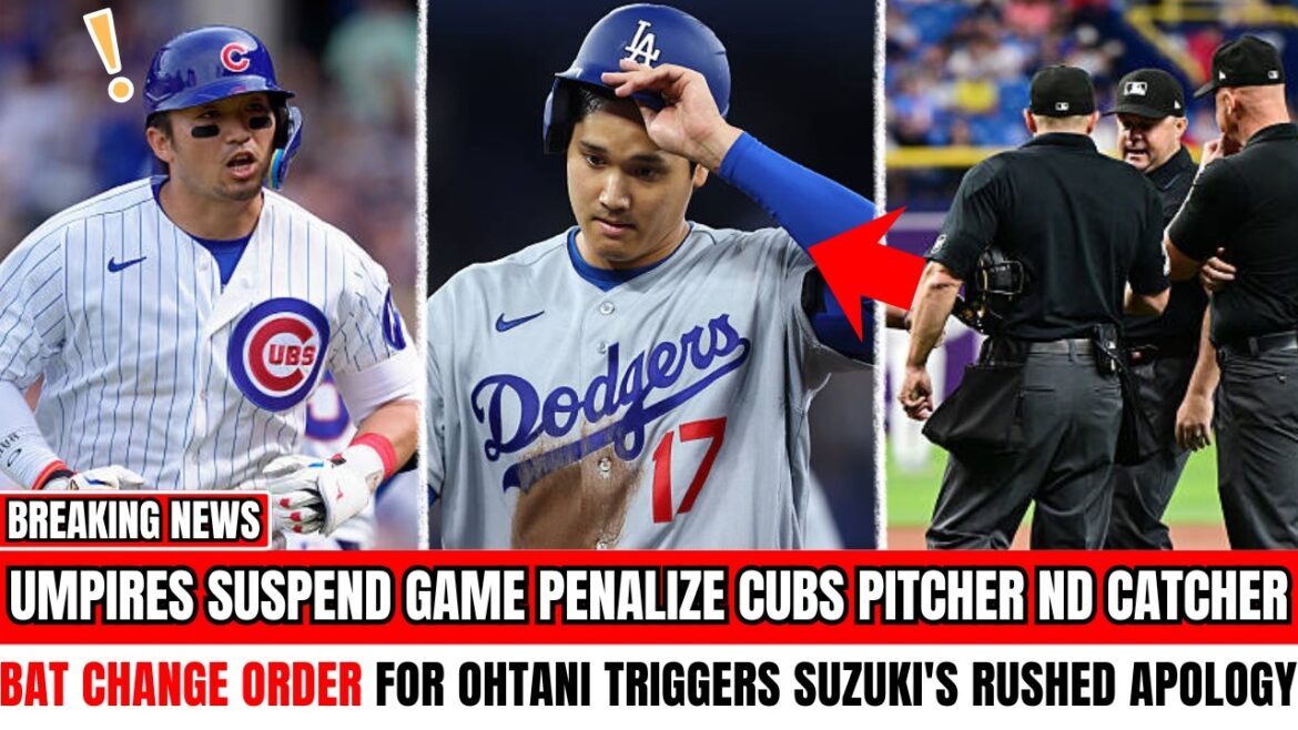 Suzuki se précipite vers Ohtani avec des excuses après la suspension du match, la pénalité des Cubs et les arbitres sont les plus choqués.