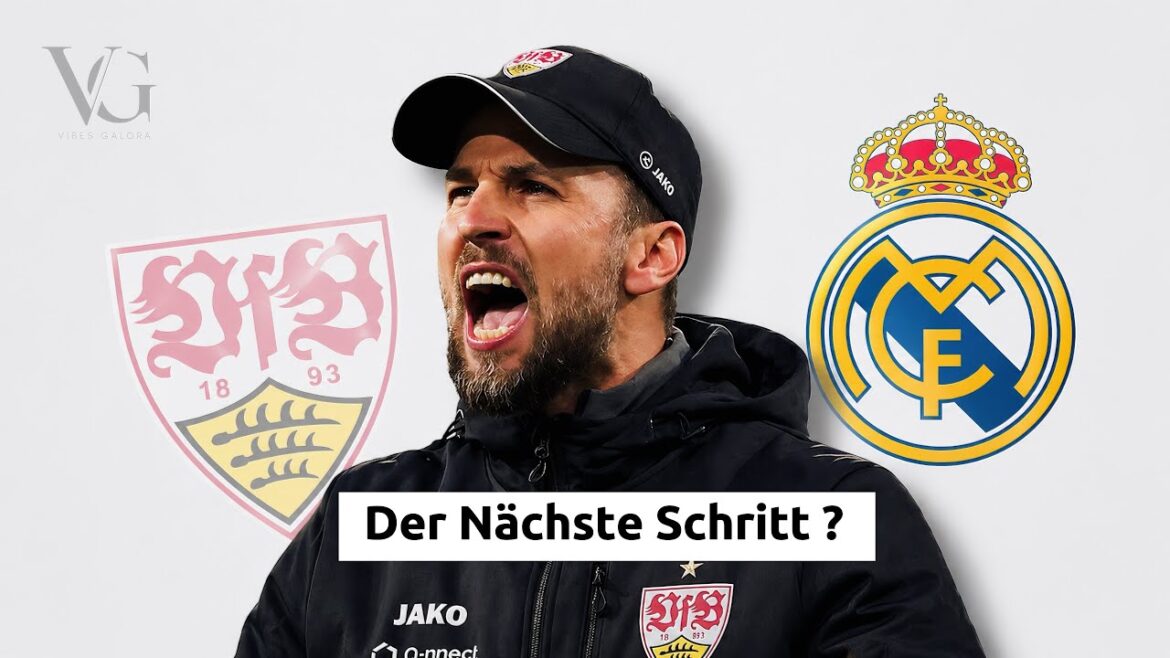 Pourquoi Sebastian Hoeness est si populaire