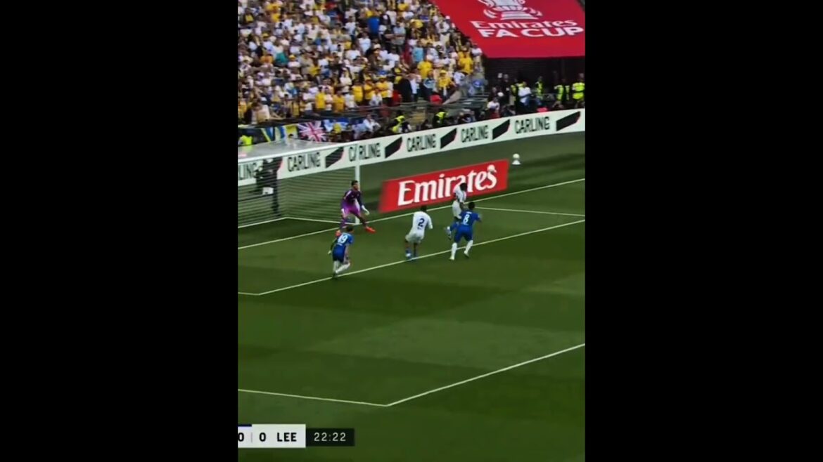 But d'Enzo Fenandez aujourd'hui #enzofenandez #chelsea #shorts