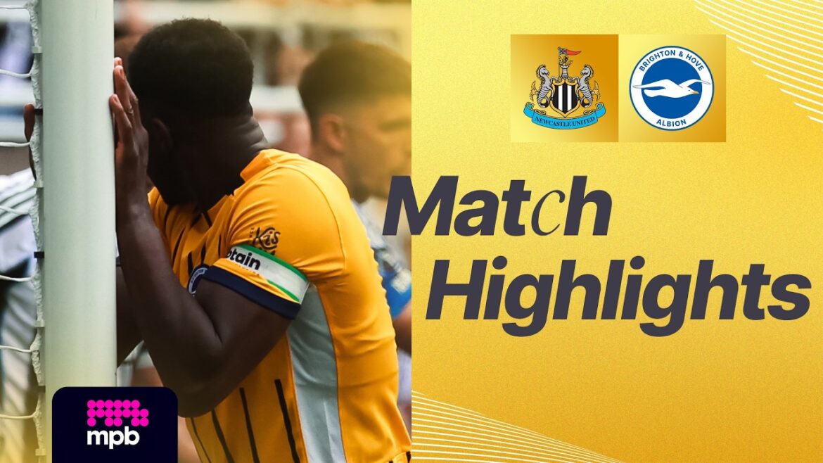 FAITS SAILLANTS | Newcastle contre Brighton | Première Ligue