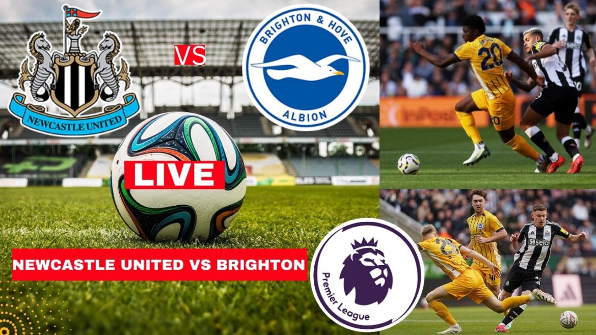 Newcastle vs Brighton 3-1 Diffusion en direct du match de football de la Premier League EPL Commentaire des scores Faits saillants