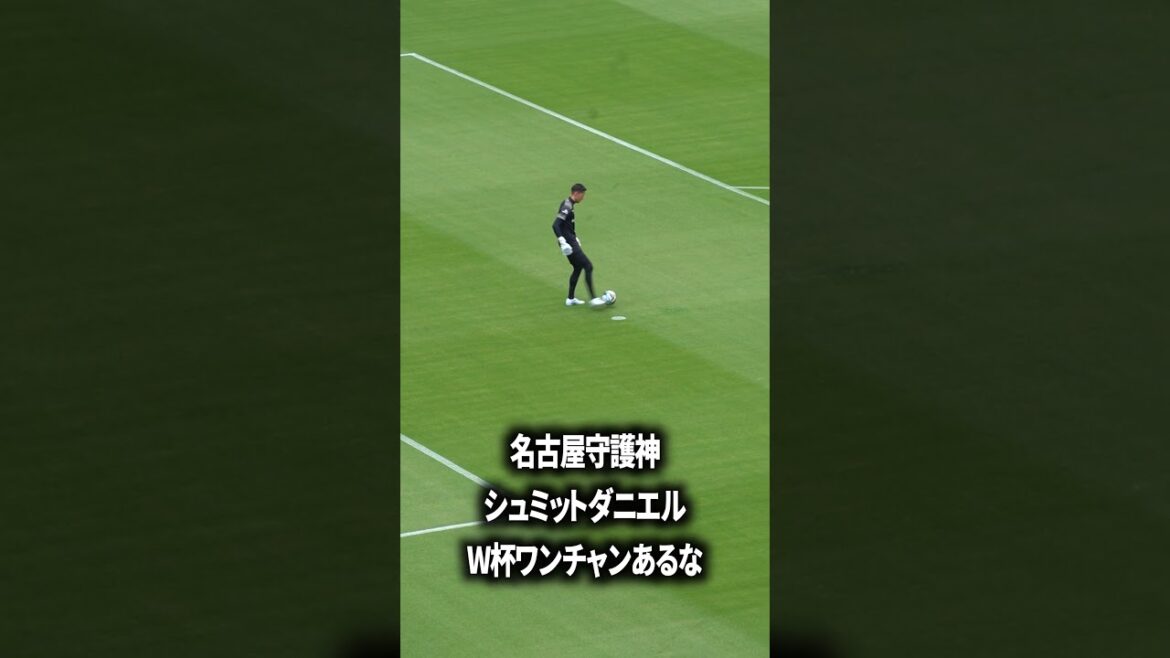 Coupe du monde Schmidt Wanchan