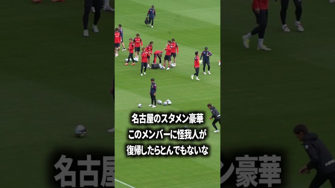Misha Nagoya est vraiment trop fort