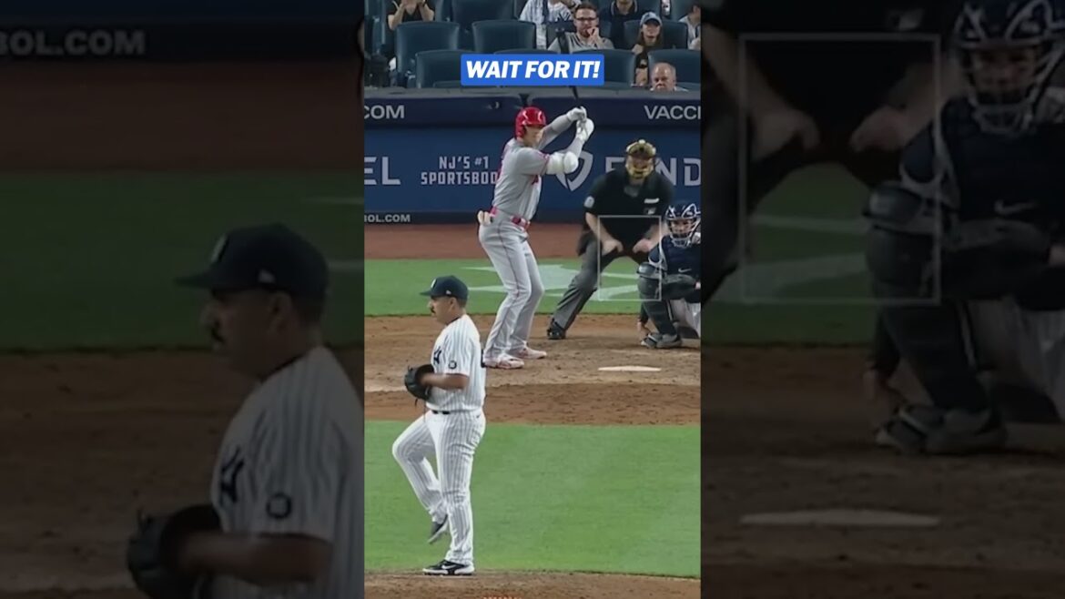 Nestor Cortes a fait rire Shohei Ohtani avec ça 🤣