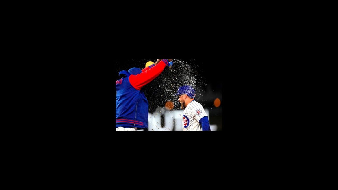 Seiya Suzuki réalise 1500 hits au Japon et aux USA ! Les Cubs ont gagné 8 matchs consécutifs !