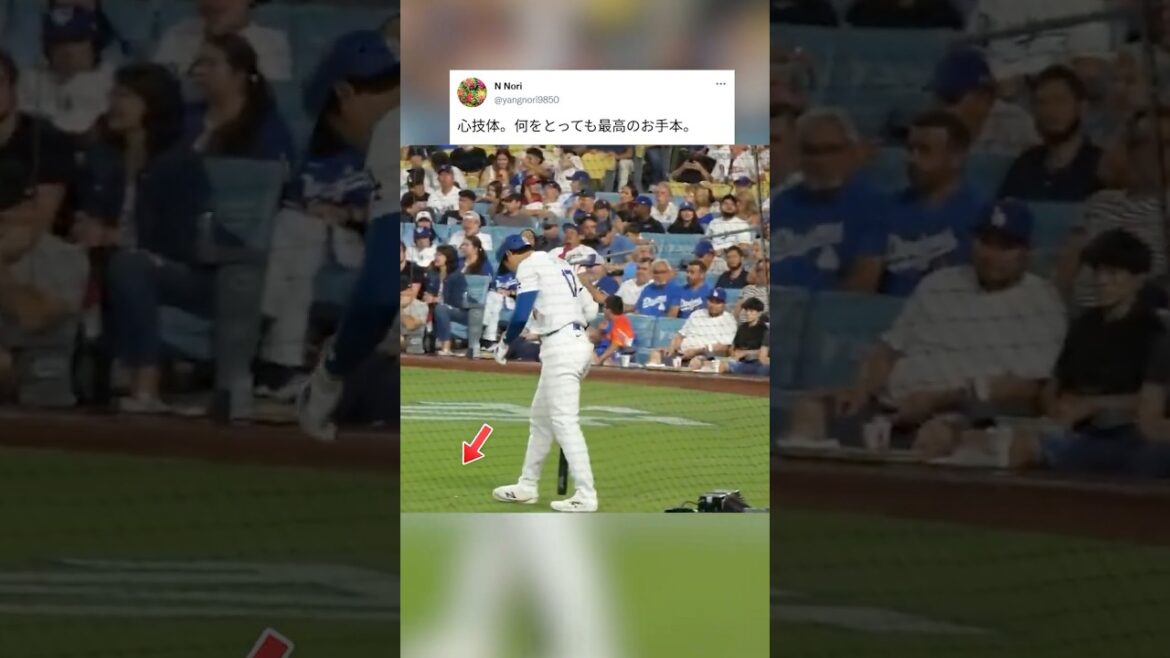 [Shohei Otani]Perfectionnement de « l’esprit, de la technique et du corps ». Pourquoi vous êtes le meilleur modèle pour tout.