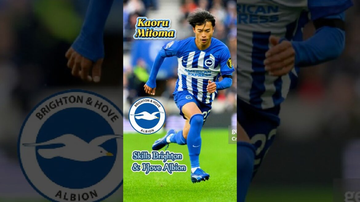 KAORU MITOMA COMPÉTENCES BRIGHTON